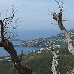 Vue Exceptionnelle Sur La Et Le Cap Esterel 公寓 *