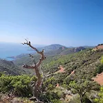 公寓 Vue Exceptionnelle Sur La Et Le Cap Esterel Saint-Raphaël