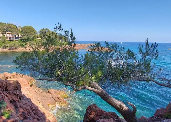 Vue Exceptionnelle Sur La Et Le Cap Esterel Apartmán Saint-Raphaël