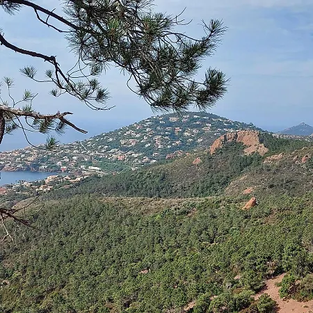 Appartement Vue Exceptionnelle Sur La Et Le Cap Estérel Saint-Raphaël