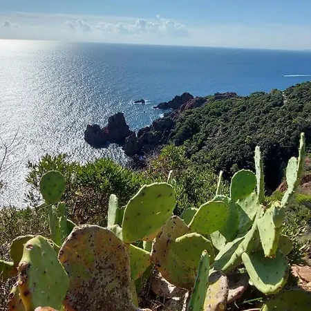 Vue Exceptionnelle Sur La Et Le Cap Esterel Appartement
