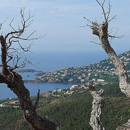 Vue Exceptionnelle Sur La Et Le Cap Esterel Appartement *