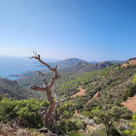 Appartement Vue Exceptionnelle Sur La Et Le Cap Esterel Saint-Raphaël