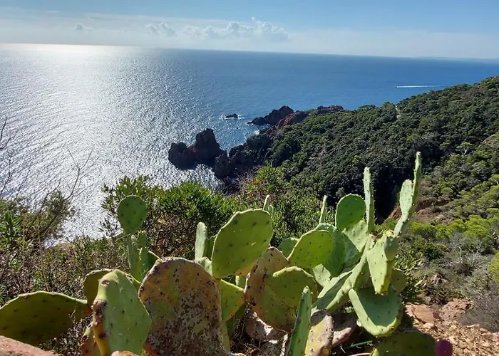 Vue Exceptionnelle Sur La Et Le Cap Esterel Апартаменти