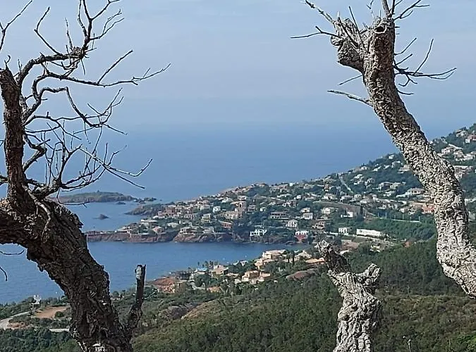 Vue Exceptionnelle Sur La Et Le Cap Esterel شقة *