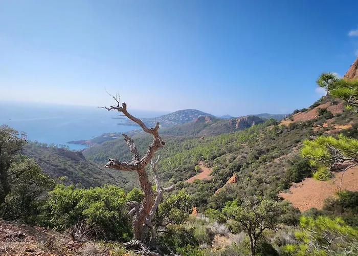 Апартаменти Vue Exceptionnelle Sur La Et Le Cap Esterel Сен-Рафаель